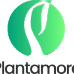 plantamore1